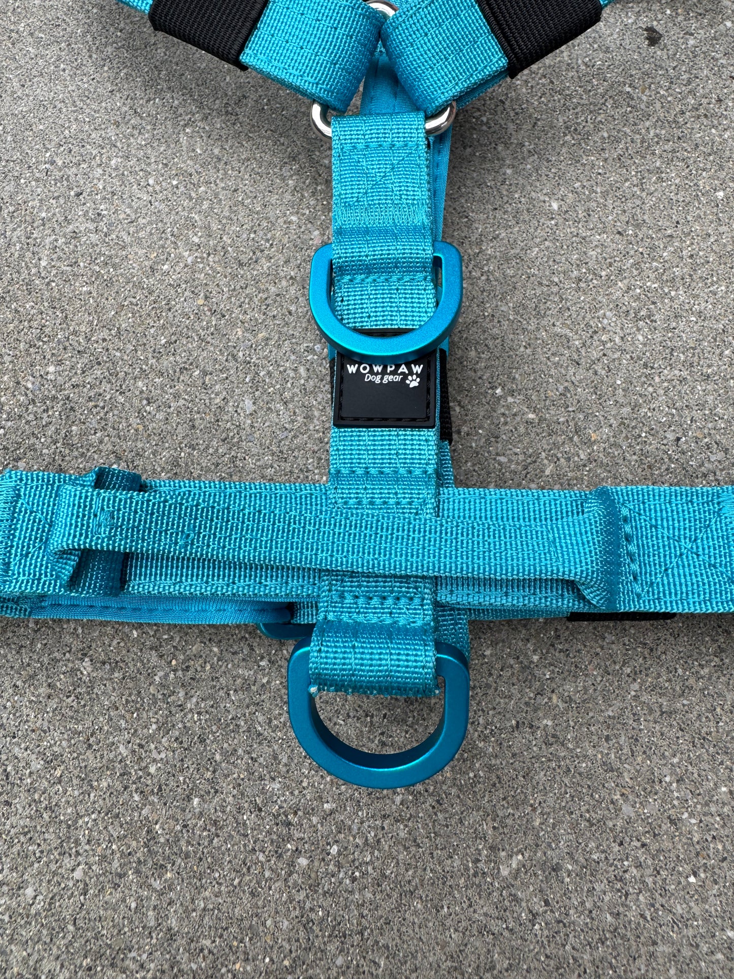 Hochwertiges Hundegeschirr XS Hellblau Edition
