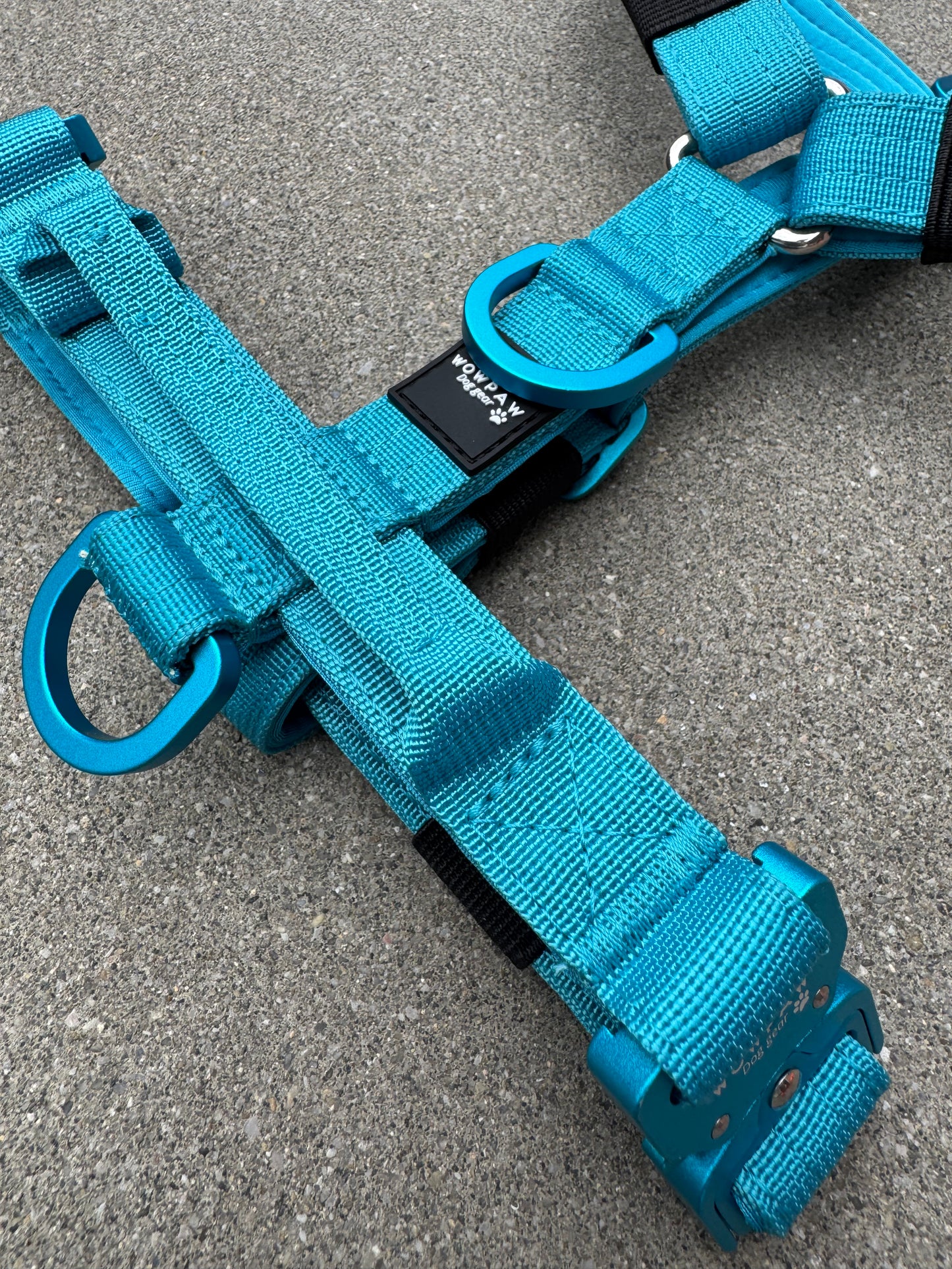 Hochwertiges Hundegeschirr XS Hellblau Edition
