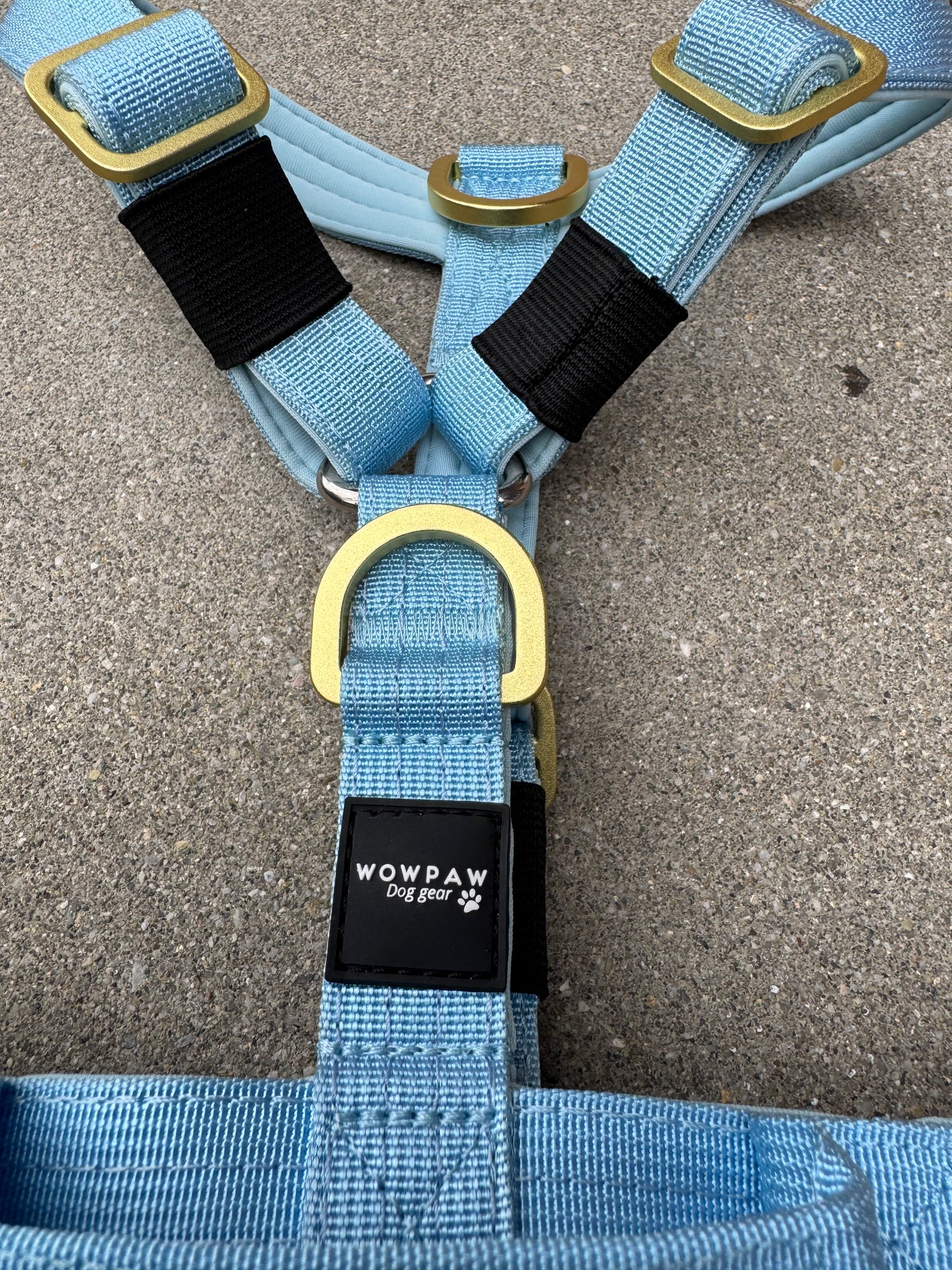 Wysokiej jakości szelki dla psa XS Sky Blue Edition