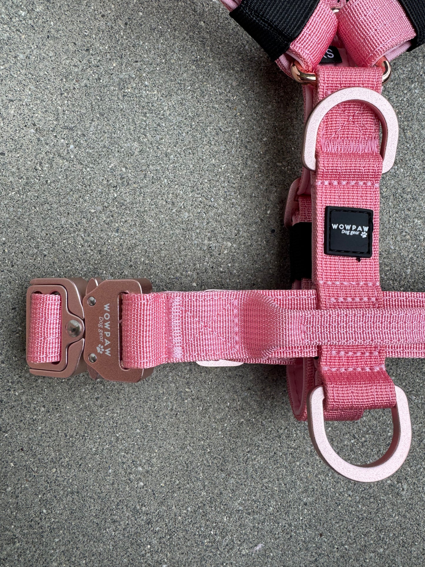 Pettorina per cani di alta qualità XS arancione neon