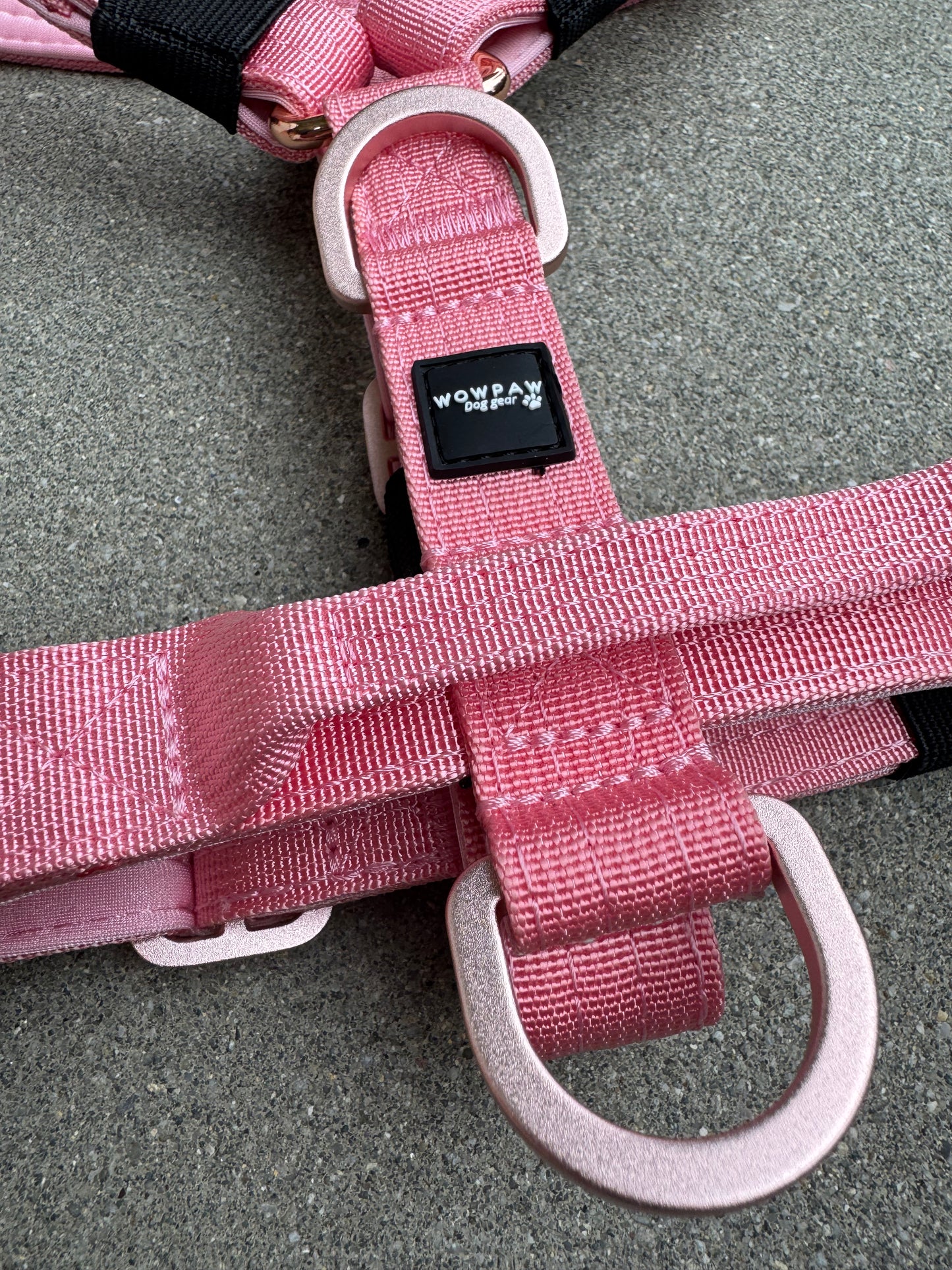 Pettorina per cani di alta qualità XS arancione neon