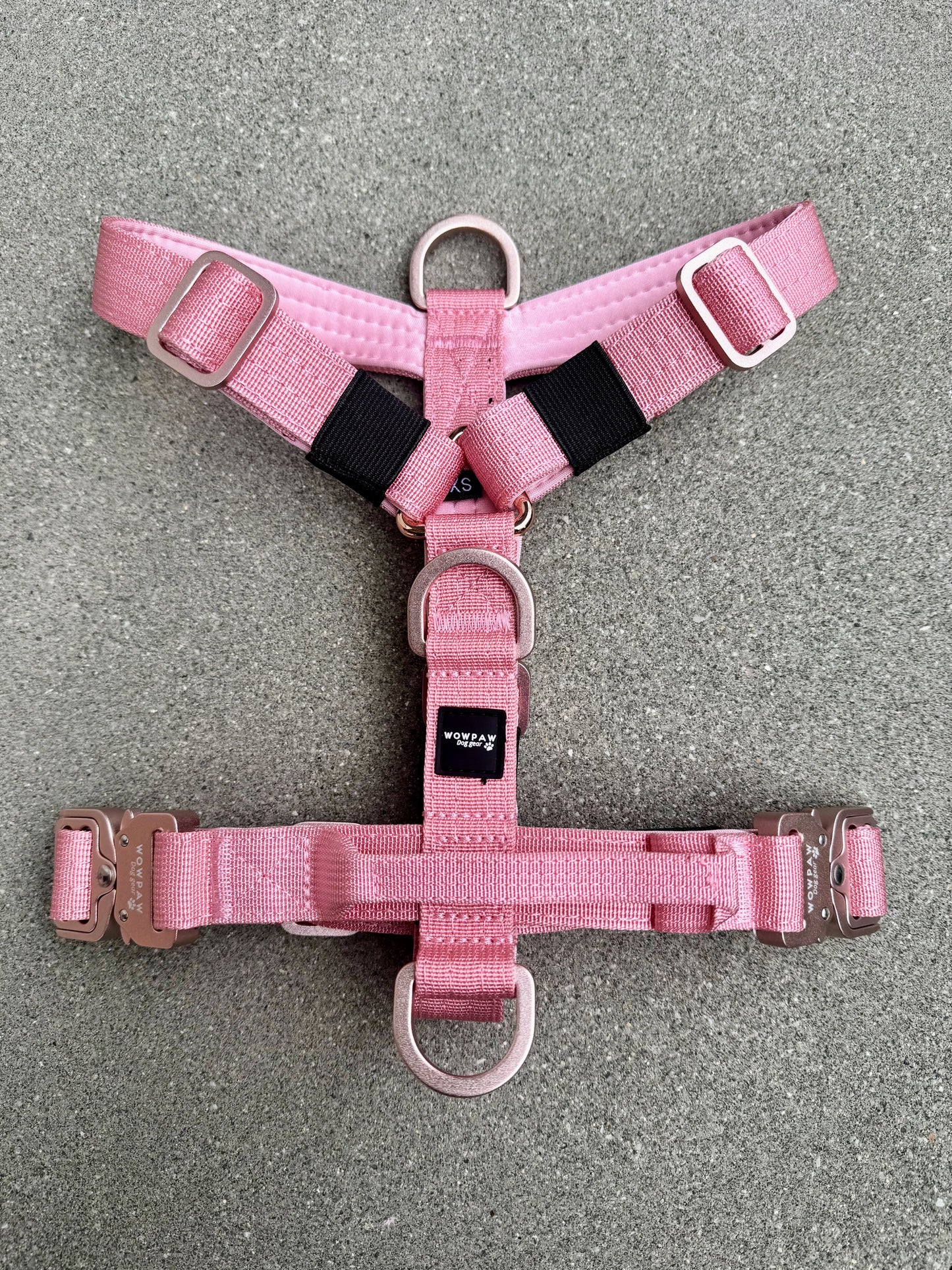 Pettorina per cani di alta qualità XS arancione neon
