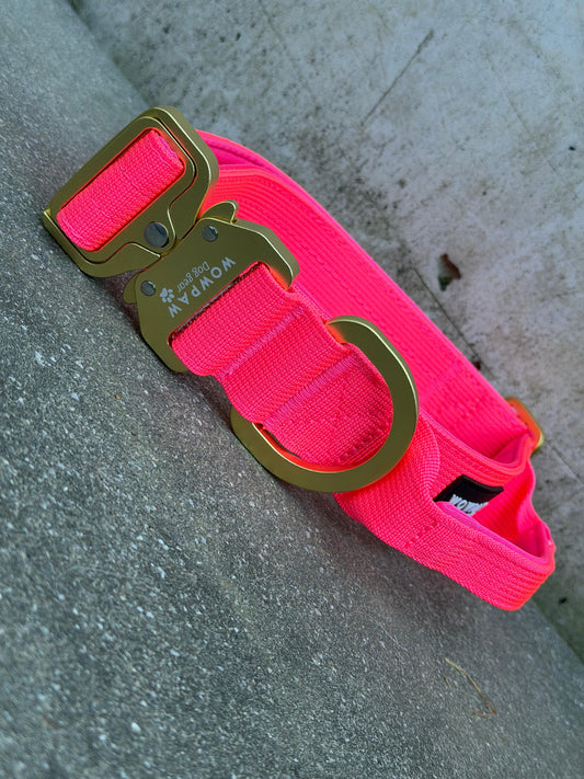 Obroża taktyczna dla psa ULTRA LIGHT Sky Blue Edition S