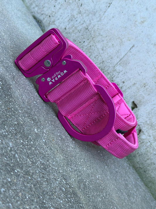 Collare tattico per cani di alta qualità blu royal taglia S