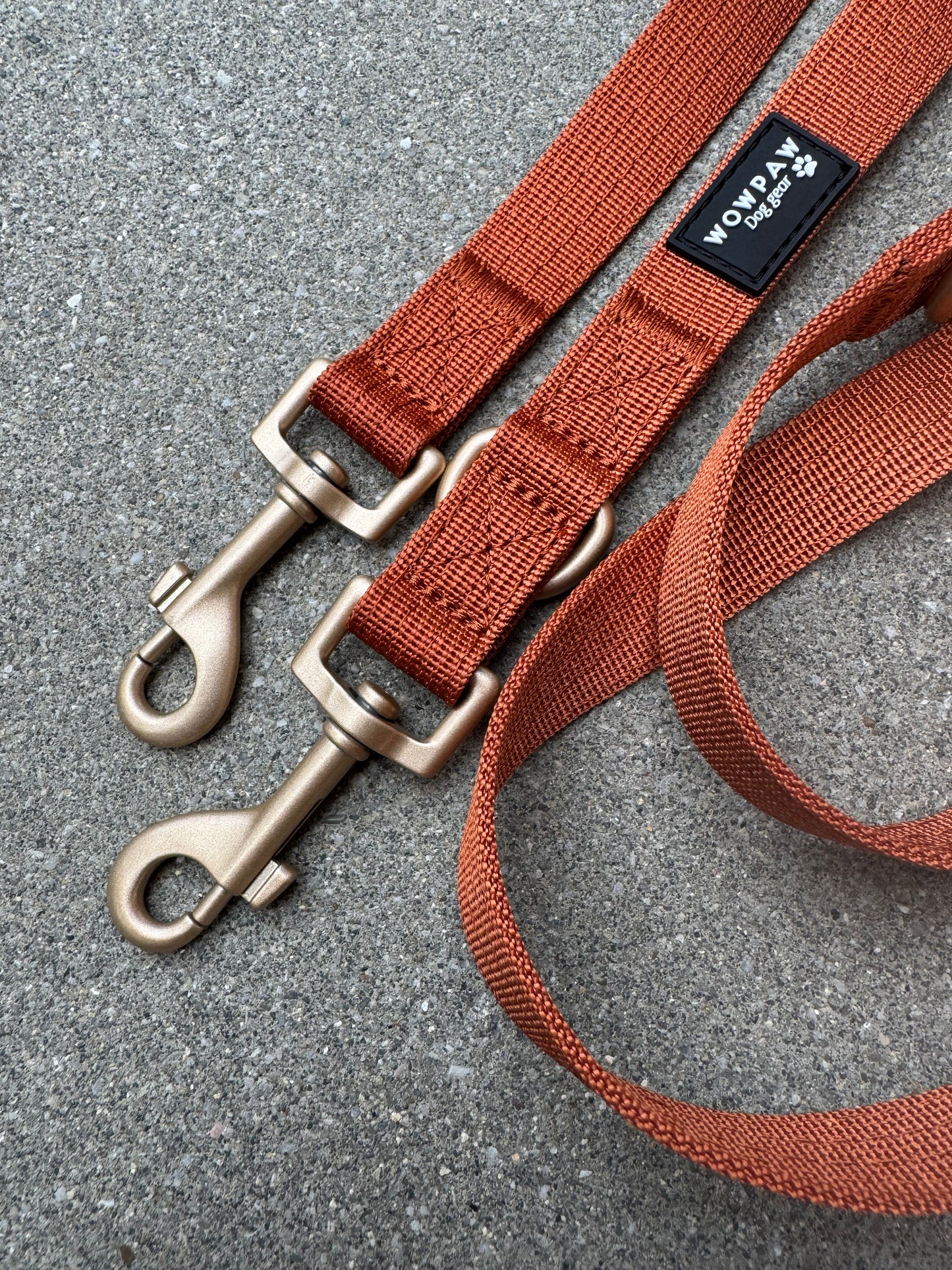 Smycz dla psa standardowa S, regulowana długość 2m, edycja miedziana