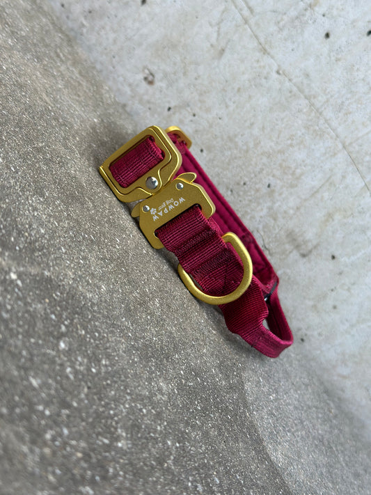 Collare per cani tattico di alta qualità 2,5 cm rosa fluo taglia XS