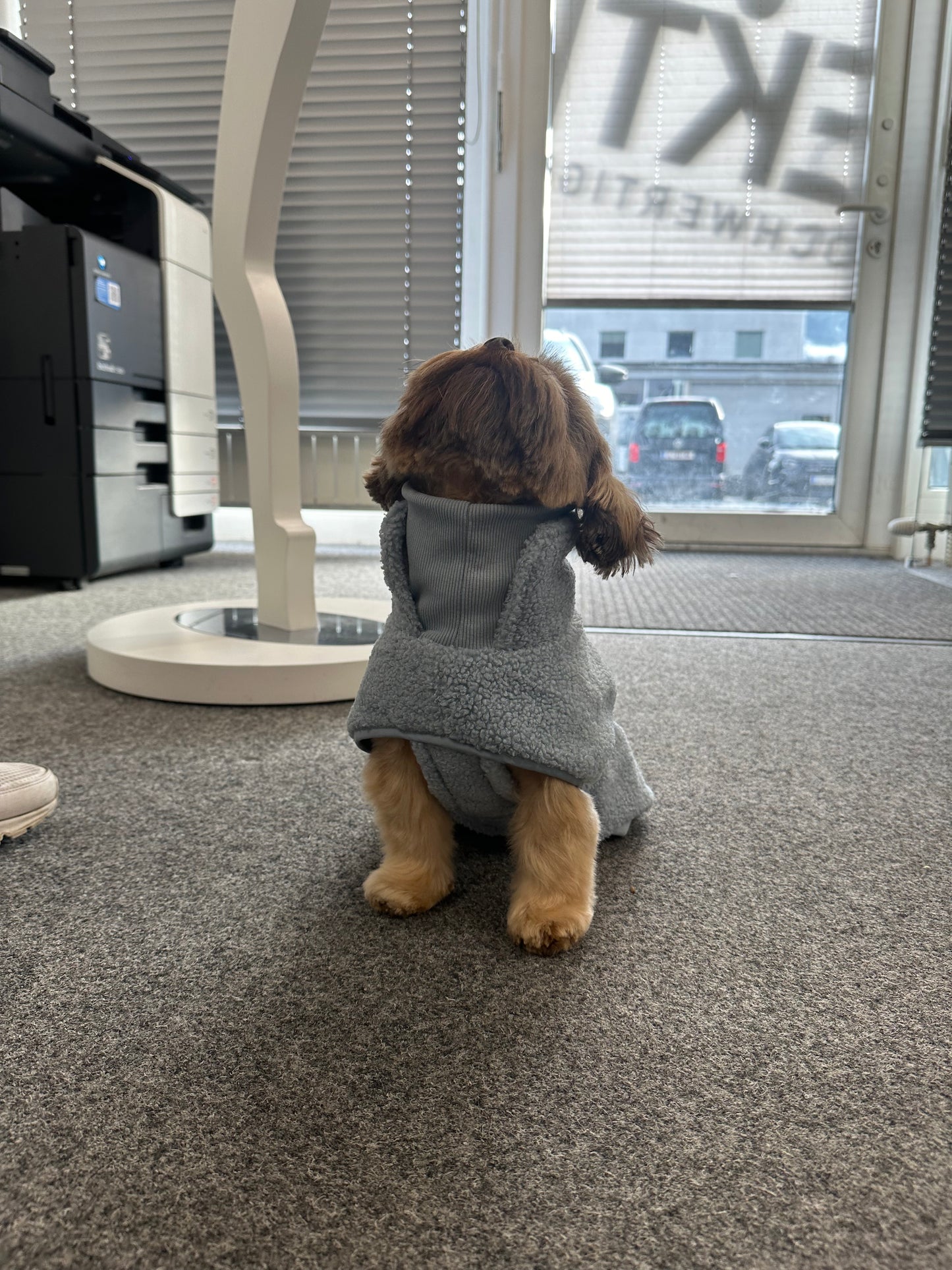 Sweter dla psa Wowpaw w kolorze pastelowym niebieskim