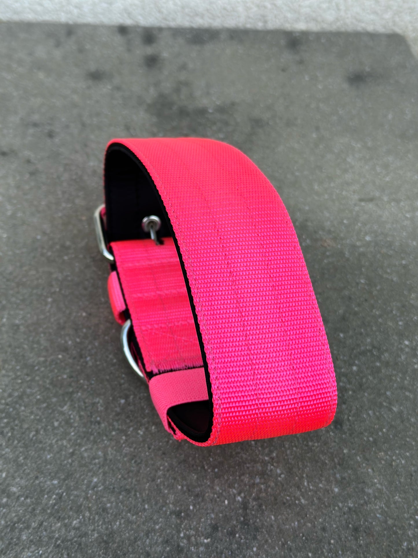 Collare per cani basic di alta qualità rosa neon taglia S