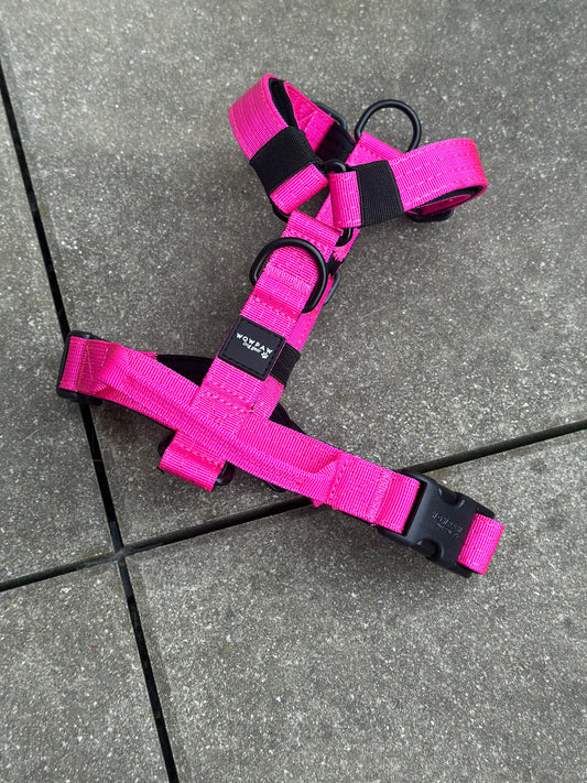 Wysokiej jakości szelki dla psa XS Magenta 