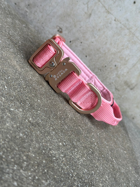 Collare per cani tattico di alta qualità 2,5 cm rosa fluo taglia XS