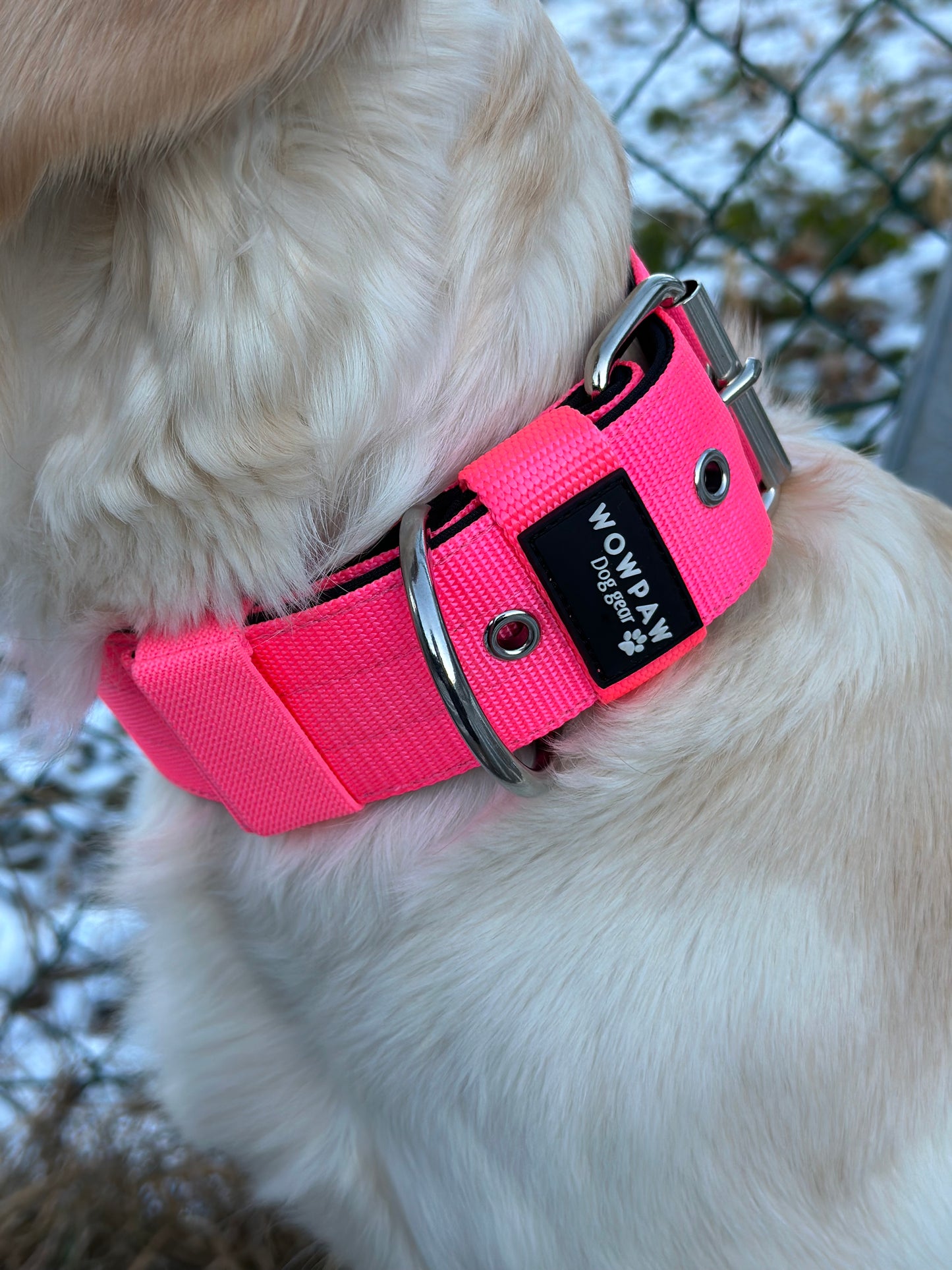 Collare per cani basic di alta qualità rosa neon taglia S