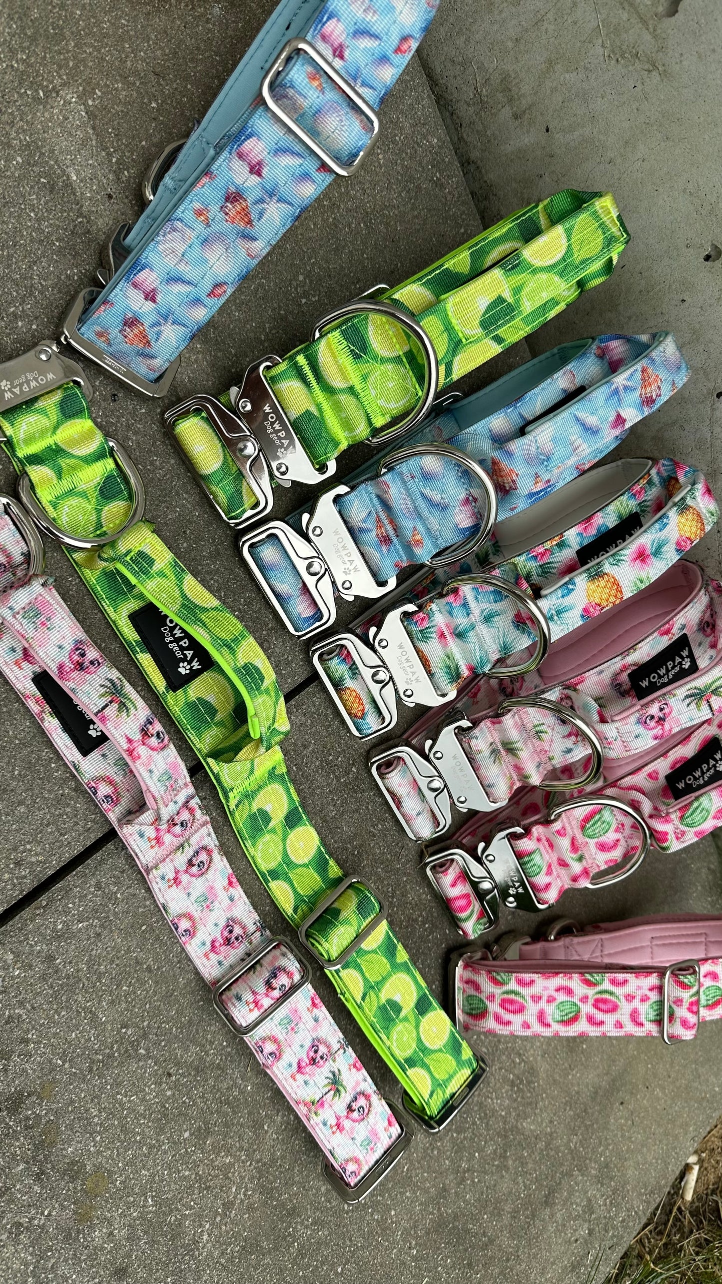 Wysokiej jakości taktyczna obroża dla psa szara rozmiar S szerokość 3,8 cm
