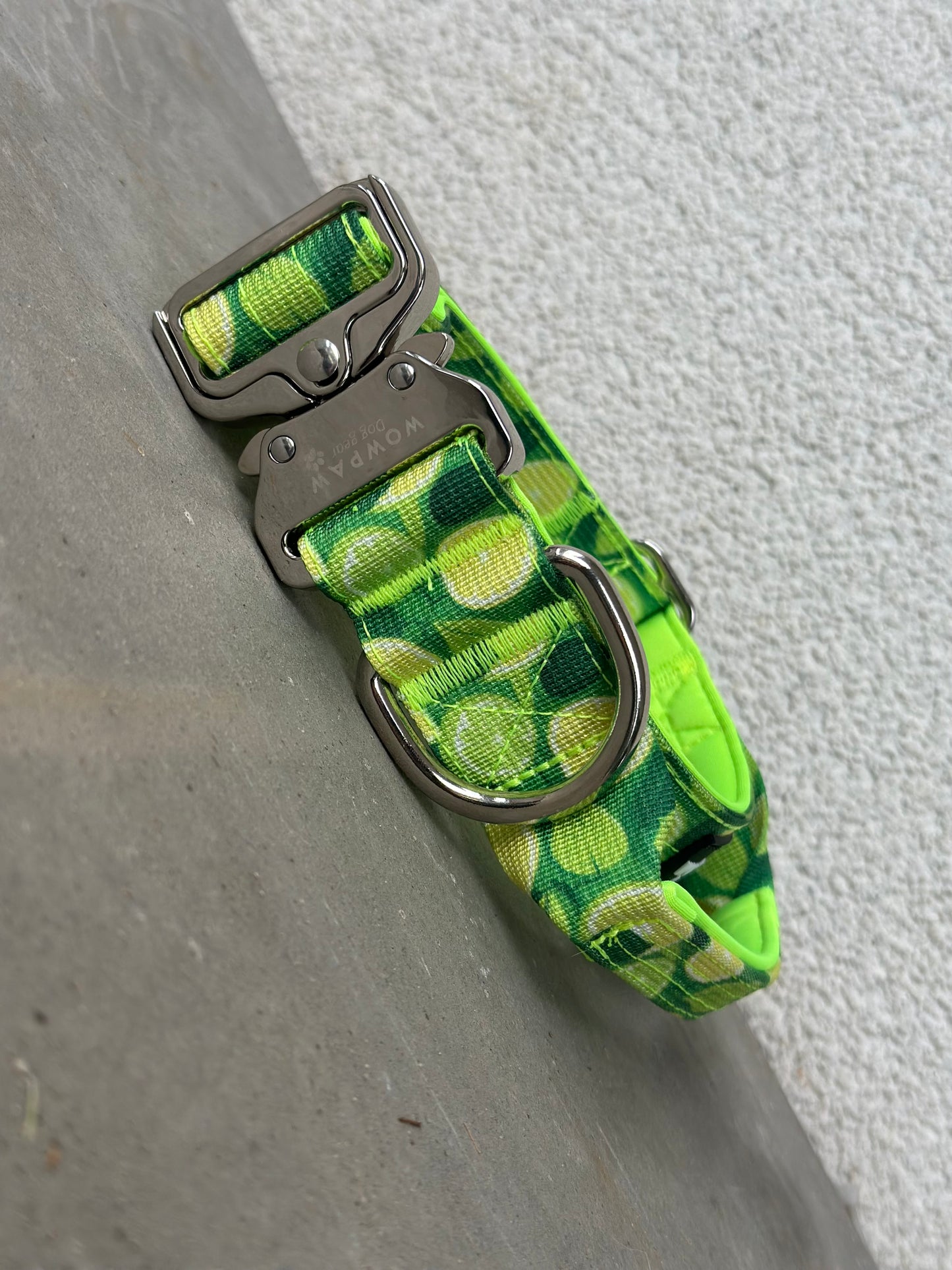Wysokiej jakości taktyczna obroża dla psa szara rozmiar S szerokość 3,8 cm