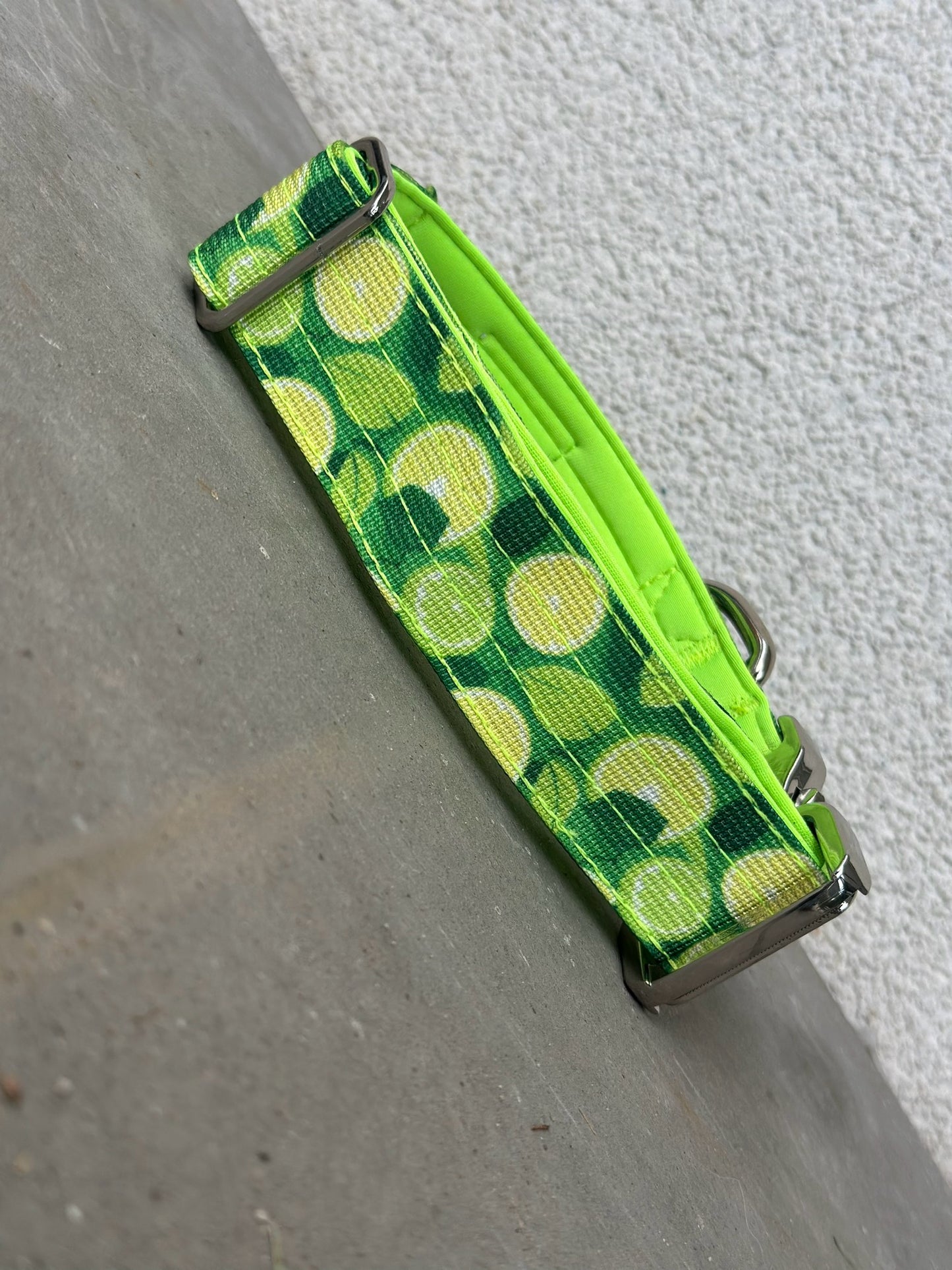 Wysokiej jakości taktyczna obroża dla psa szara rozmiar S szerokość 3,8 cm