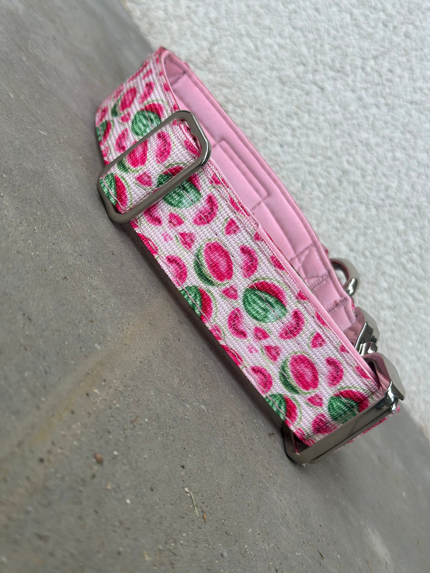 Wysokiej jakości taktyczna obroża dla psa szara rozmiar S szerokość 3,8 cm