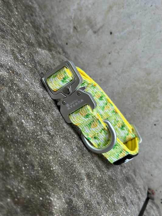 Taktyczna obroża dla psa ULTRA LIGHT Lemon XS