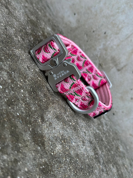 Obroża taktyczna dla psa ULTRA LIGHT Watermelon XS