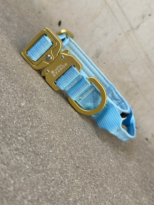 Collare per cani tattico di alta qualità 2,5 cm verde neon taglia XS