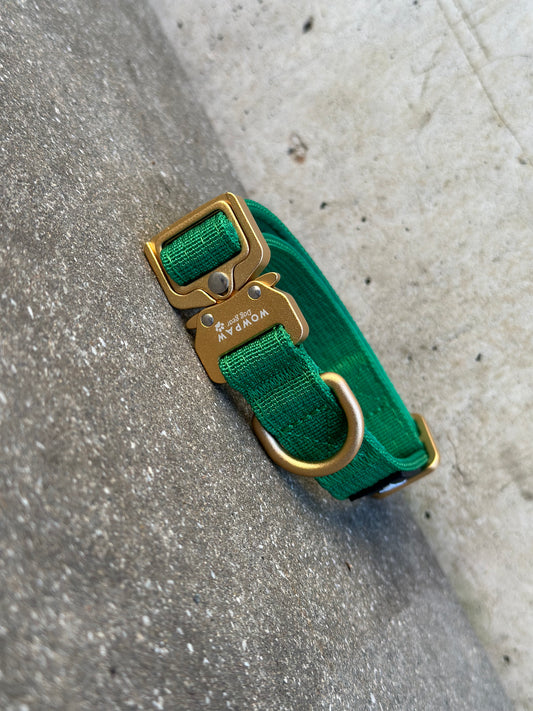 Taktisches Hundehalsband ULTRA LIGHT Grün Edition XS