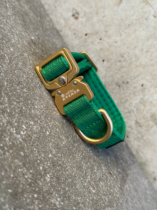 Taktisches Hundehalsband ULTRA LIGHT Grün Edition XXS