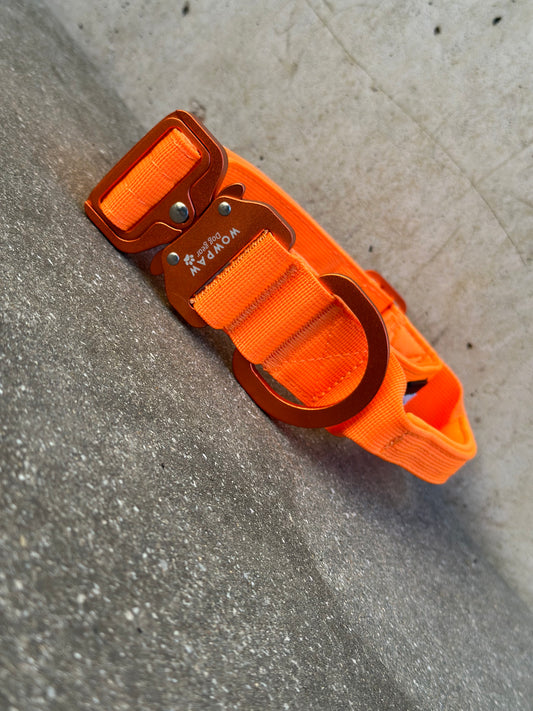 Wysokiej jakości taktyczna obroża dla psa 3,8 cm ULTRA LIGHT Neon Orange Edition Rozmiar L