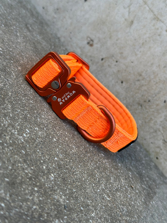 Taktisches Hundehalsband ULTRA LIGHT Neonorange Edition XS