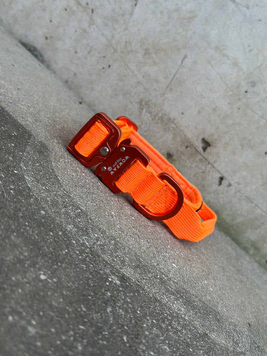 Collare per cani tattico di alta qualità 2,5 cm rosa fluo taglia XS