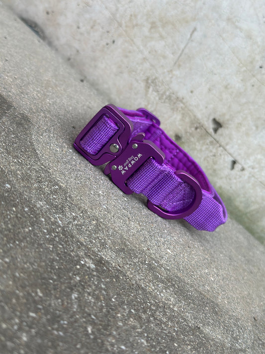 Collare per cani tattico di alta qualità 2,5 cm rosa fluo taglia XS
