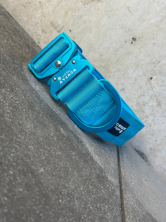 Obroża dla psa LED ULTRA LIGHT Blue Edition rozmiar S 