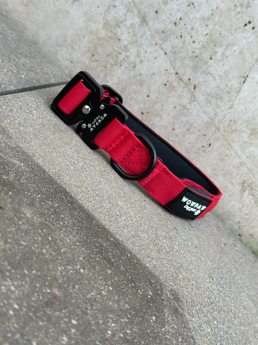 Obroża LED dla psa czerwona rozmiar XS 2,5cm