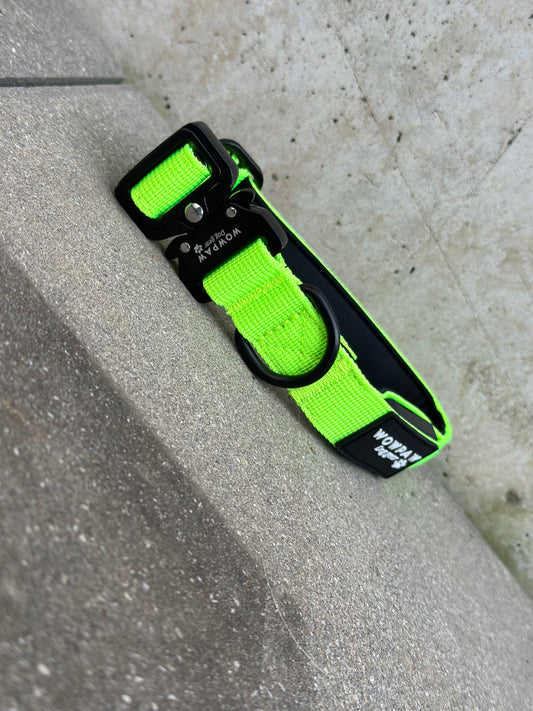 Collare tattico per cani di alta qualità verde neon taglia S