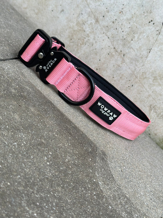 Obroża LED dla psa różowa rozmiar M szerokość 3,8cm