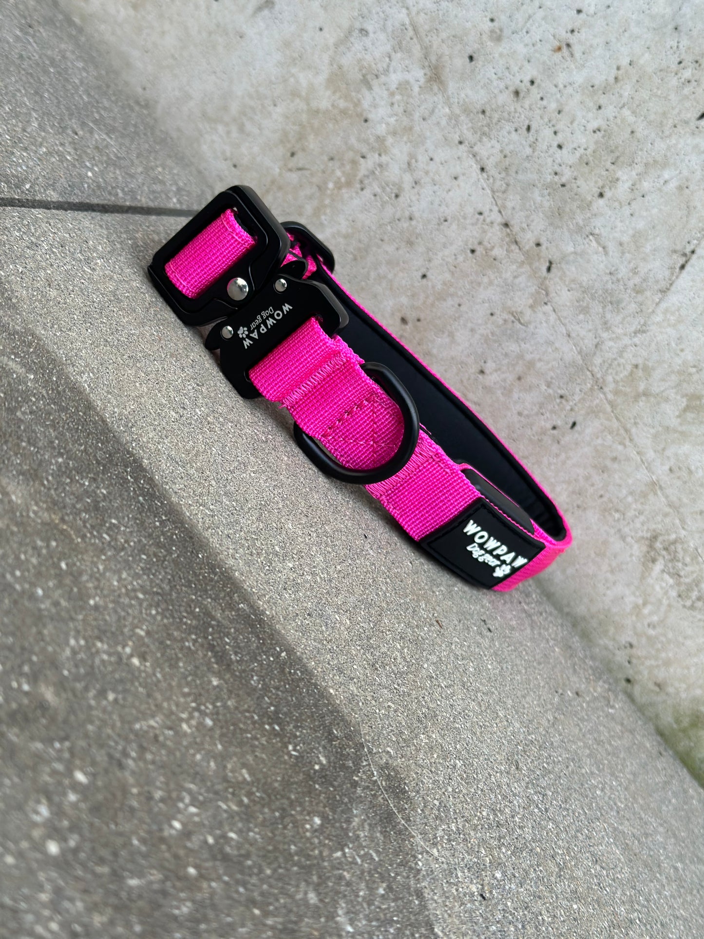 Obroża LED dla psa w kolorze magenta, rozmiar XS 2,5 cm