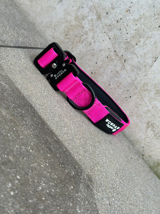 Obroża LED dla psa w kolorze magenta, rozmiar XS 2,5 cm
