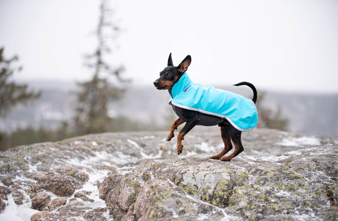 Pompy sportowe ARCTIC