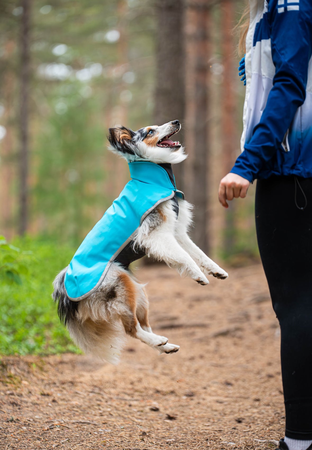 Pompy sportowe ARCTIC