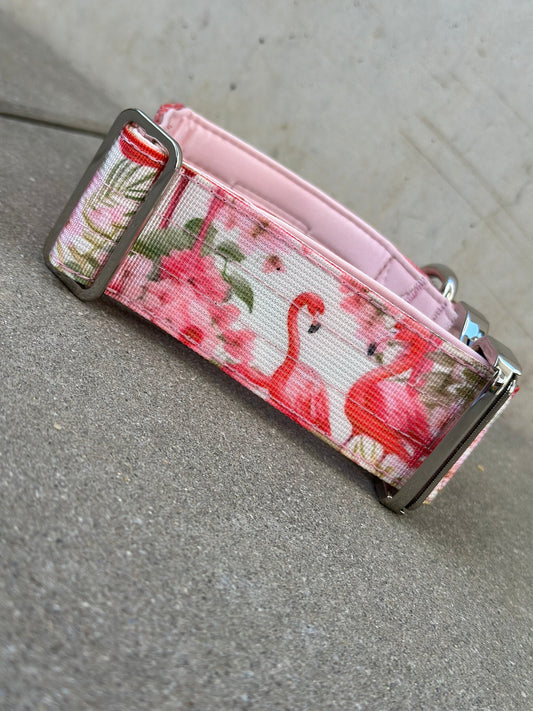 Wysokiej jakości taktyczna obroża dla psa FLAMINGOS LIMITED rozmiar S