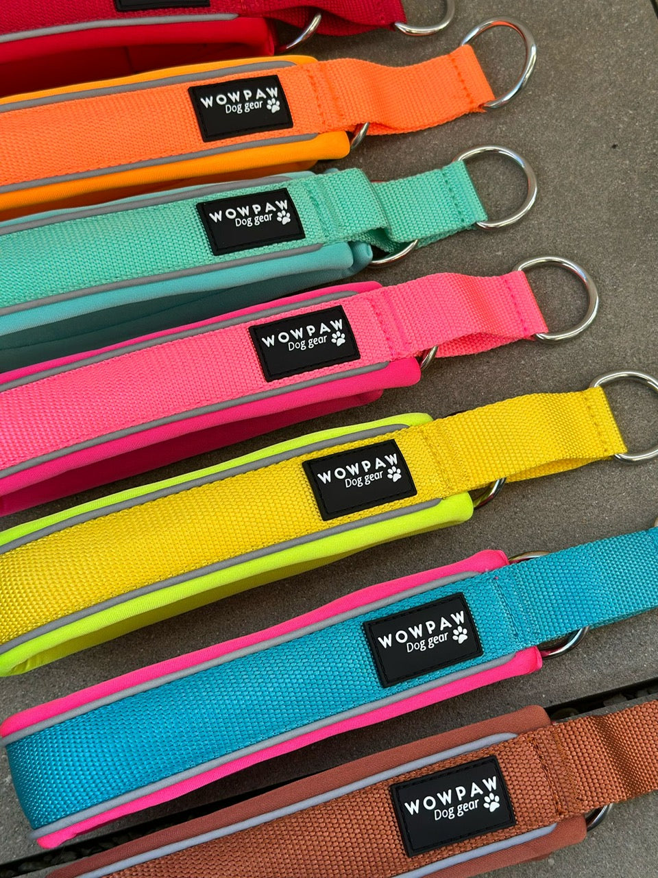 Collare per cani tattico di alta qualità 2,5 cm arancione neon taglia XS