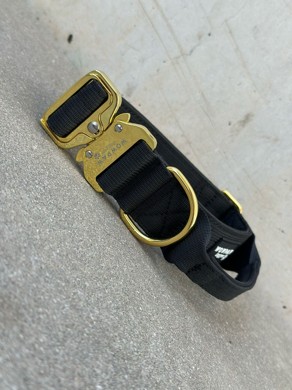 Hochwertiges taktisches Hundehalsband Schwarz x Gold Größe L Breite 3,8cm