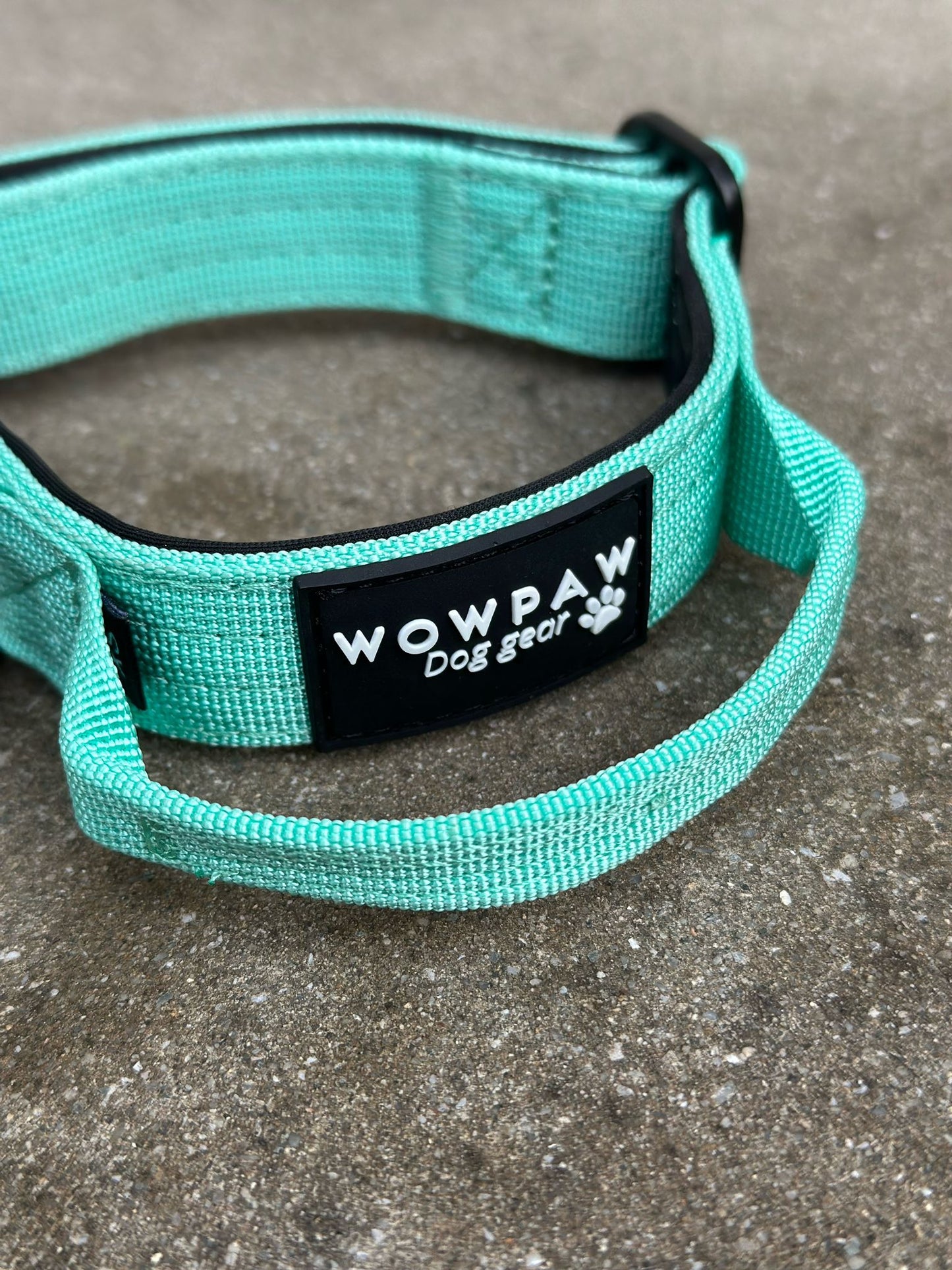Wysokiej jakości taktyczna obroża dla psa XS 2,5 cm Mięta