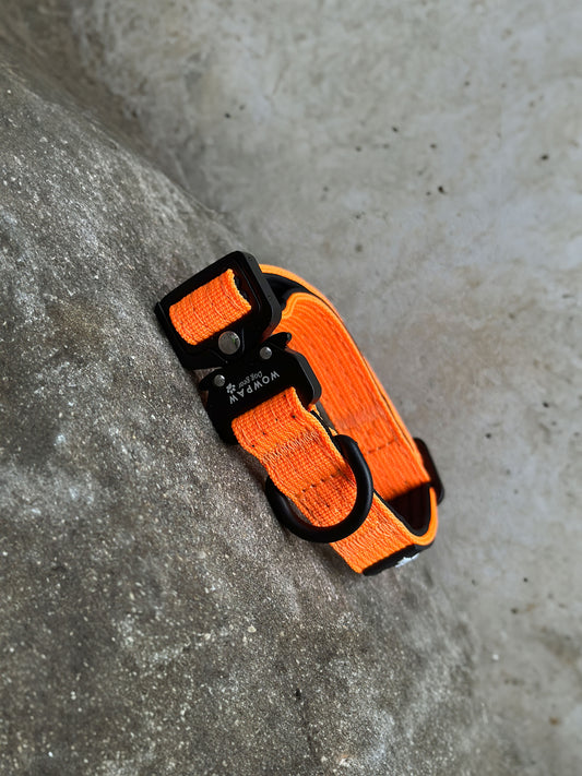 Obroża taktyczna dla psa ULTRA LIGHT Neon Orange XXS
